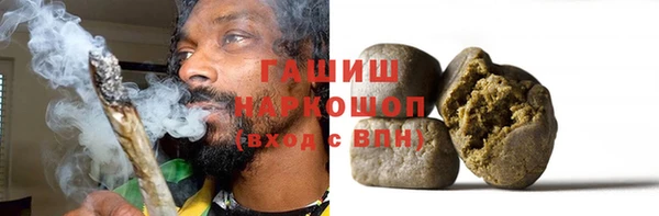 прущие грибы Прокопьевск