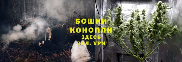 СК Арсеньев
