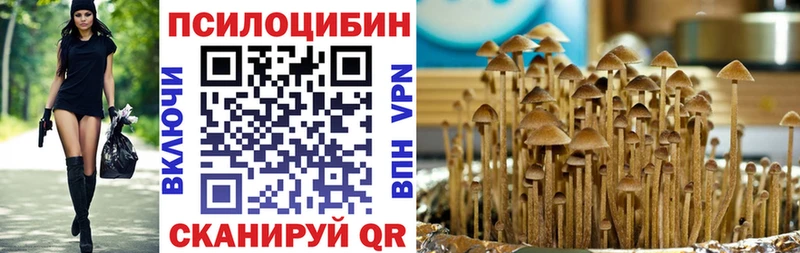 Псилоцибиновые грибы MAGIC MUSHROOMS  закладка  Ступино 